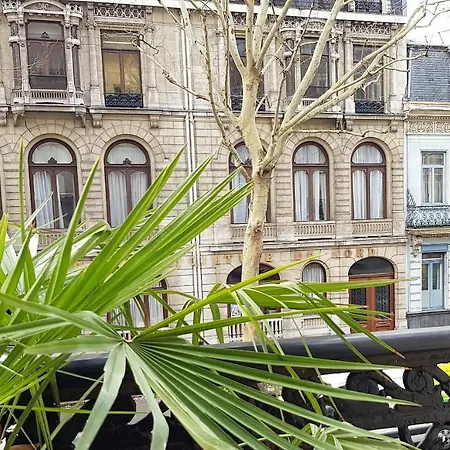 Little - Elise Apartment